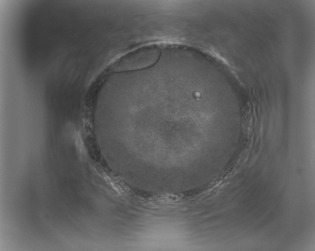 X0000071951255200607071201