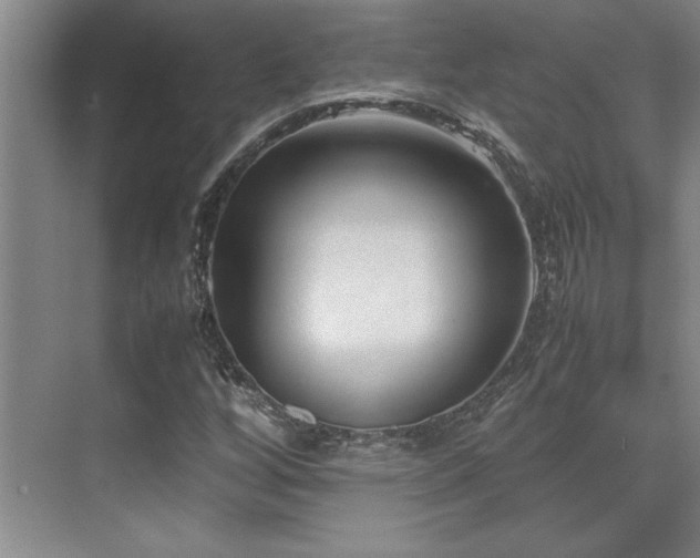 X0000071951256200607071201