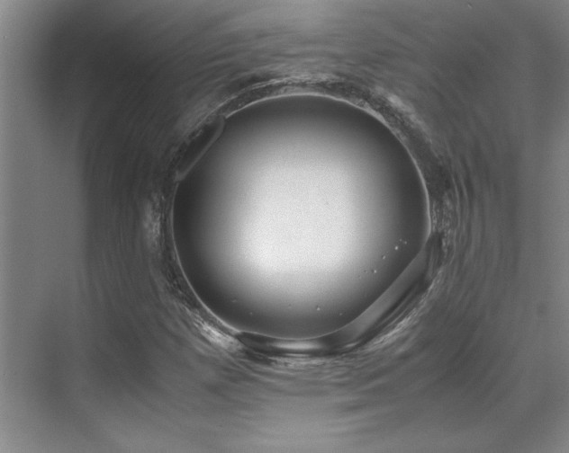 X0000071951257200607071201