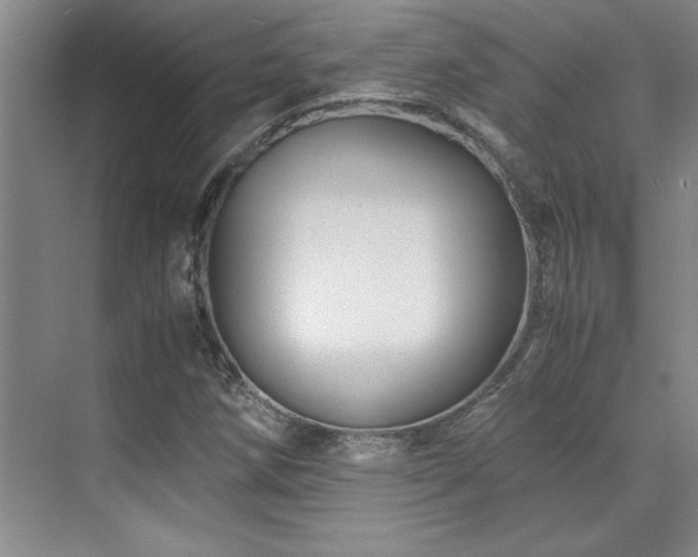 X0000071951258200607071201