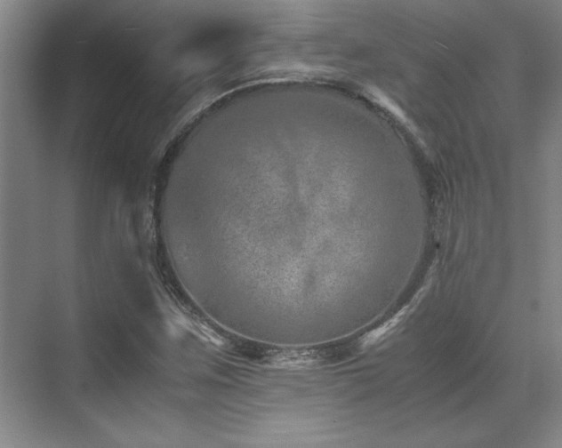 X0000071951259200607071201