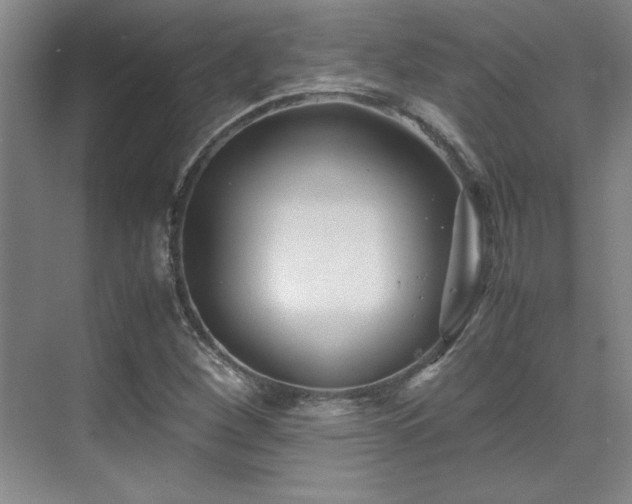 X0000071951260200607071201