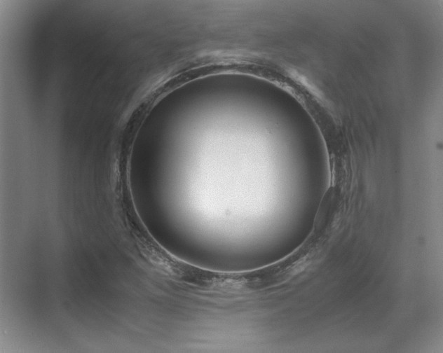 X0000071951261200607071201