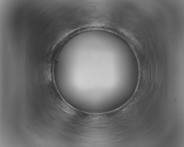 X0000071951262200607071201