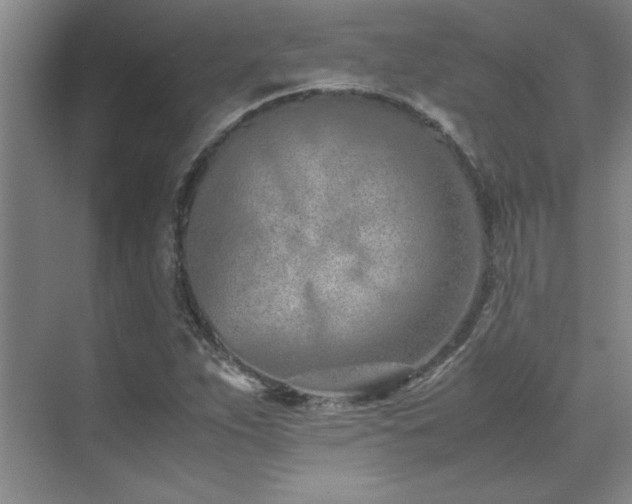 X0000071951263200607071201