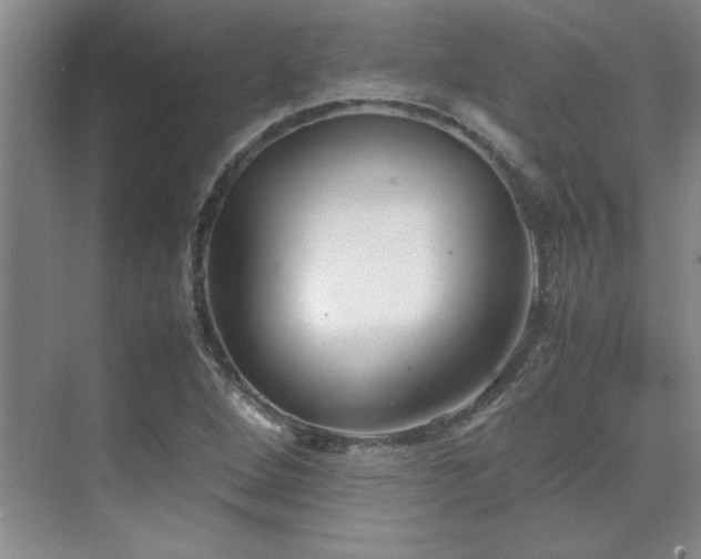 X0000071951264200607071201