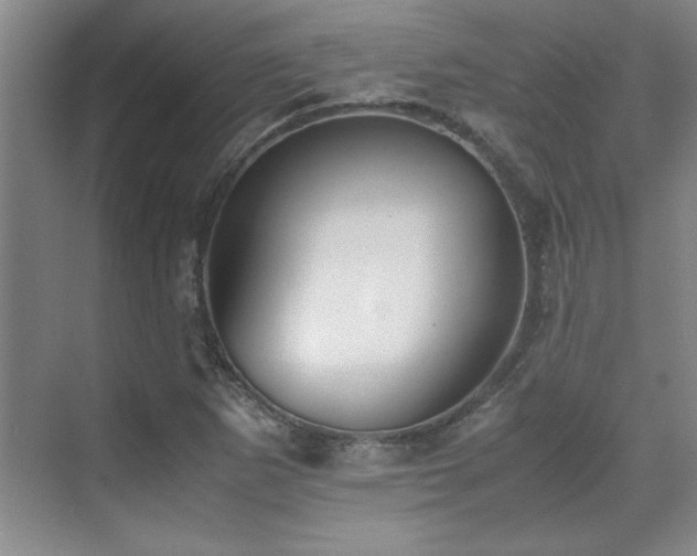 X0000071951265200607071201