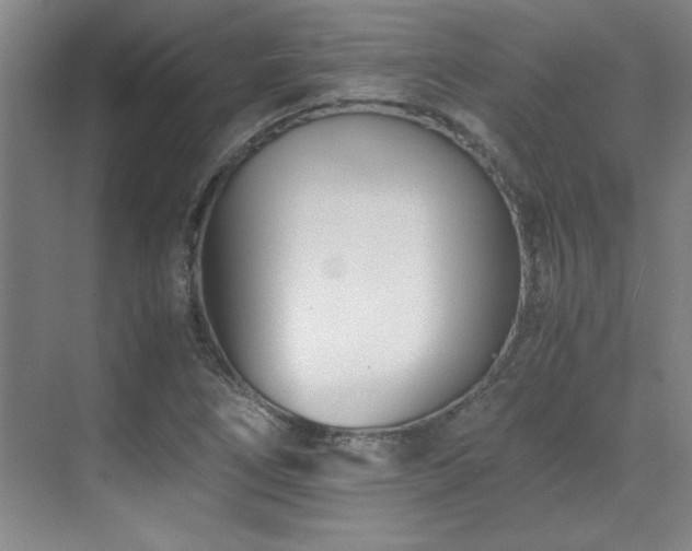 X0000071951266200607071201