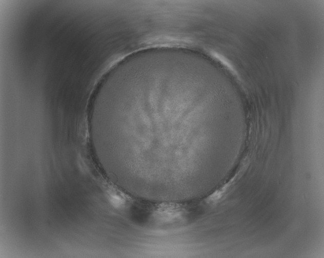 X0000071951267200607071201