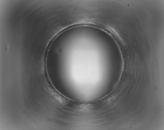 X0000071951268200607071201