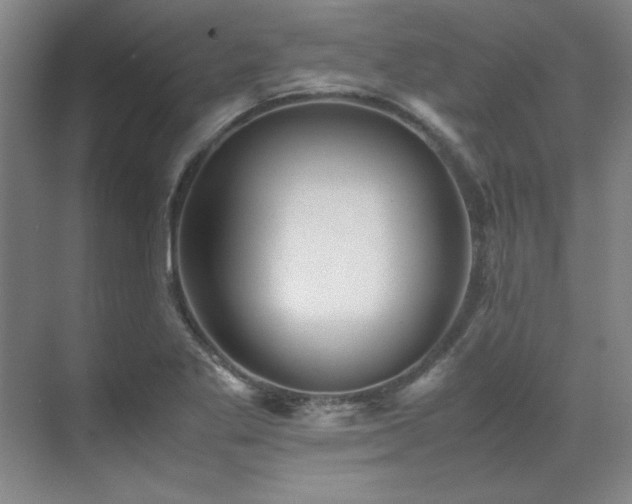 X0000071951269200607071201