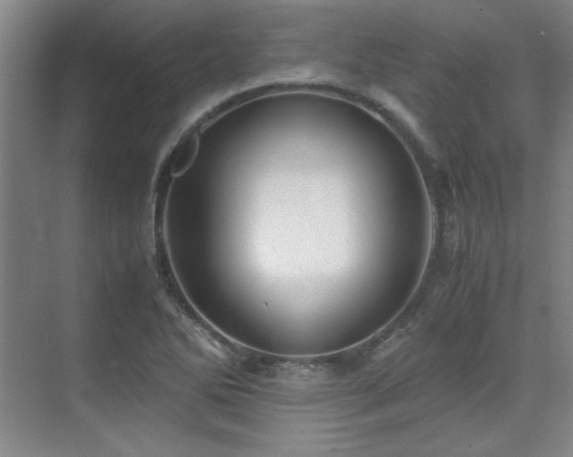 X0000071951270200607071200