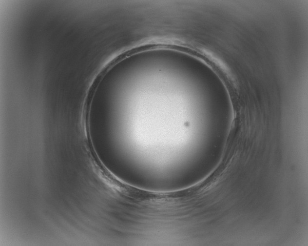 X0000071951272200607071200