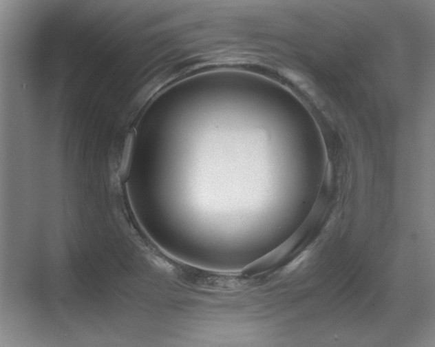 X0000071951273200607071200