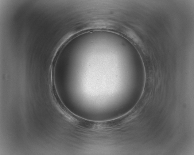 X0000071951275200607071200