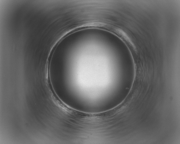 X0000071951276200607071200