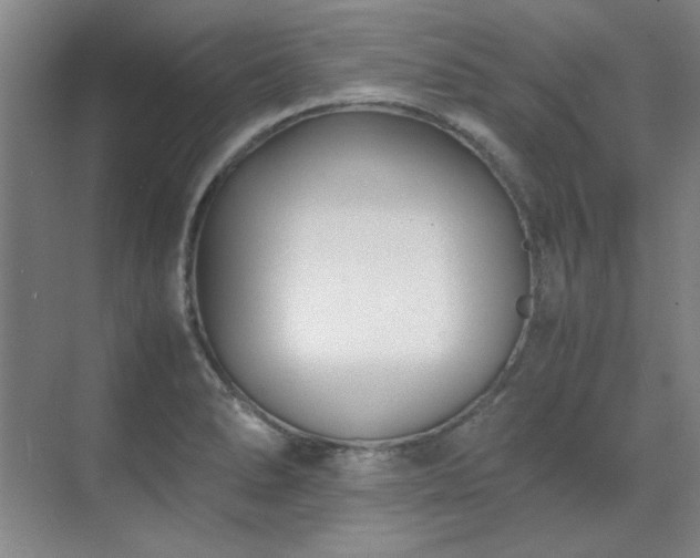 X0000071951278200607071200