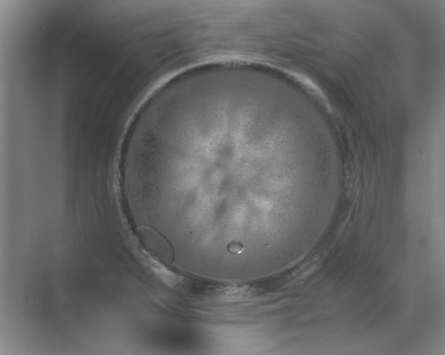 X0000071951279200607071200