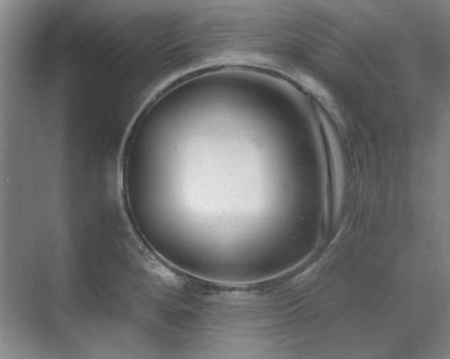 X0000071951280200607071200