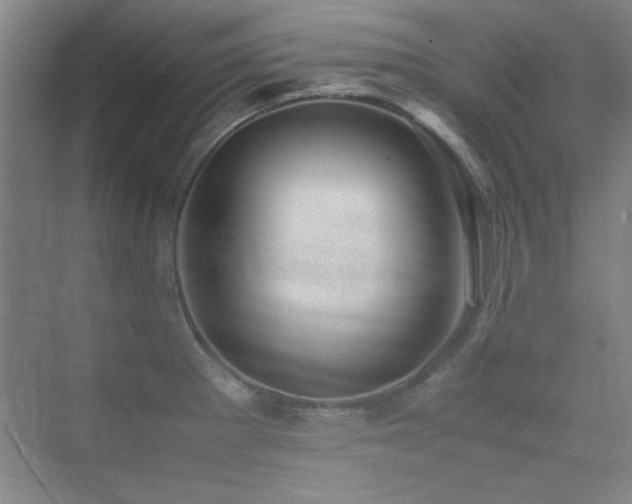 X0000071951281200607071200