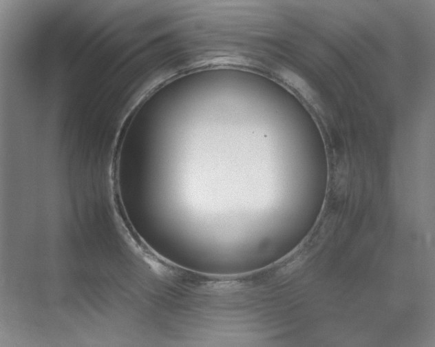 X0000071951282200607071200