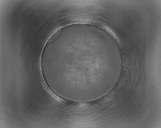 X0000071951283200607071200