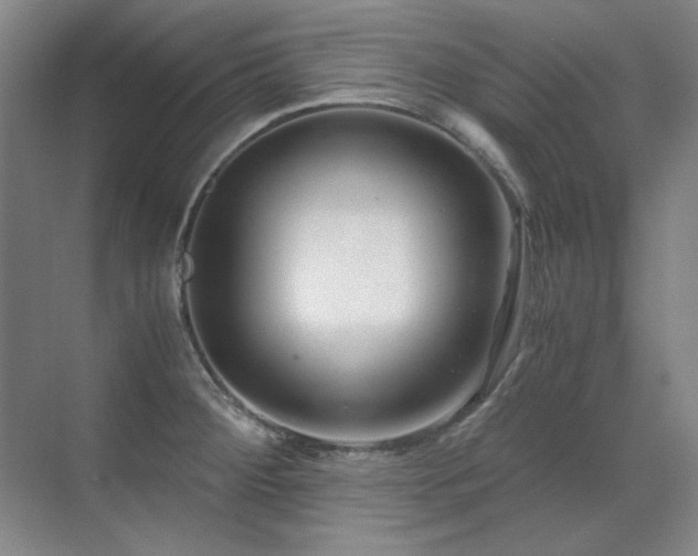 X0000071951284200607071200