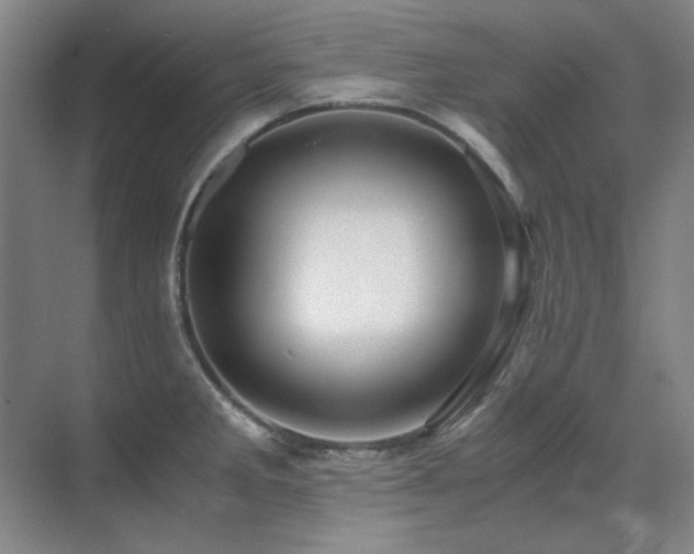 X0000071951285200607071200