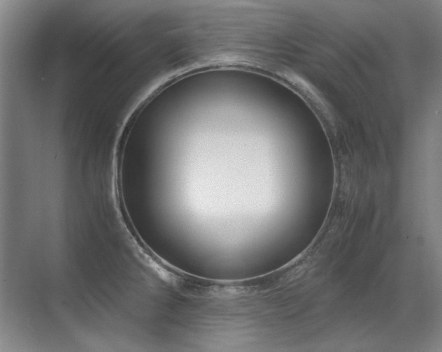 X0000071951286200607071200