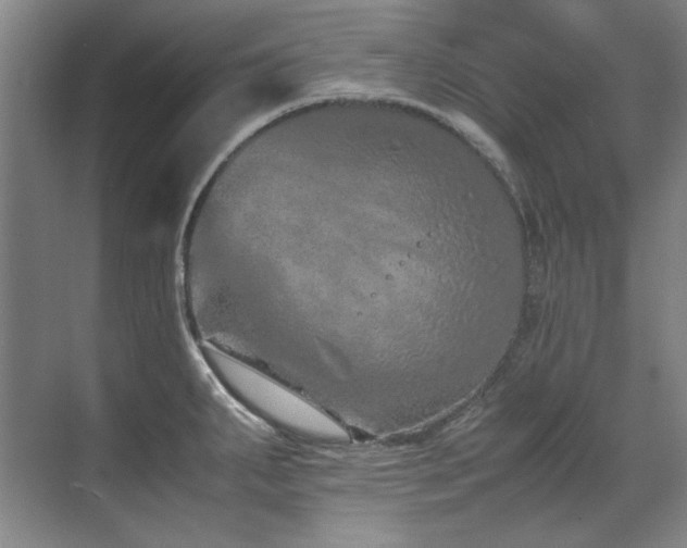 X0000071951287200607071200