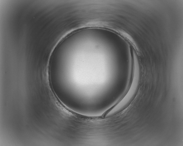 X0000071951288200607071200