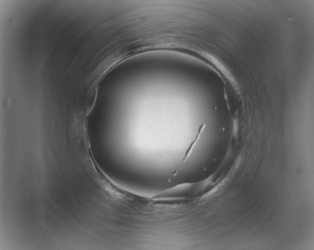 X0000071951289200607071200