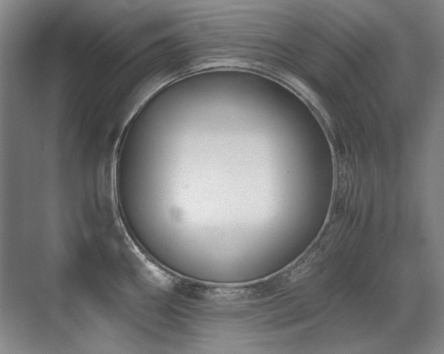 X0000071951290200607071200