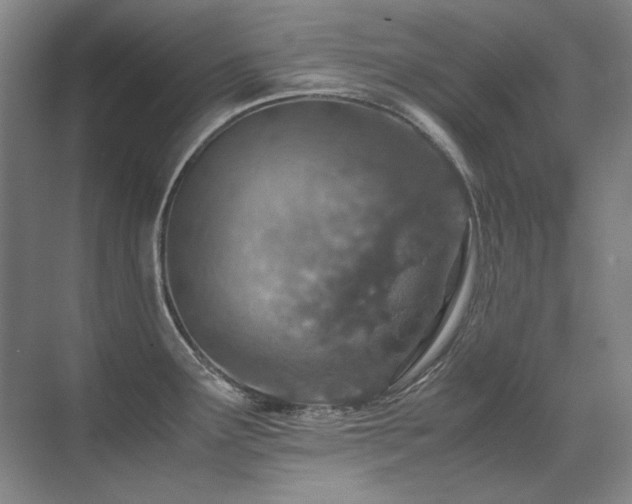 X0000071951291200607071200