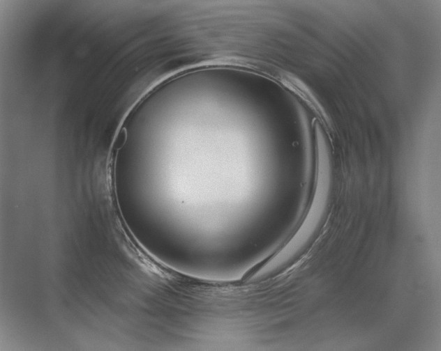 X0000071951292200607071200