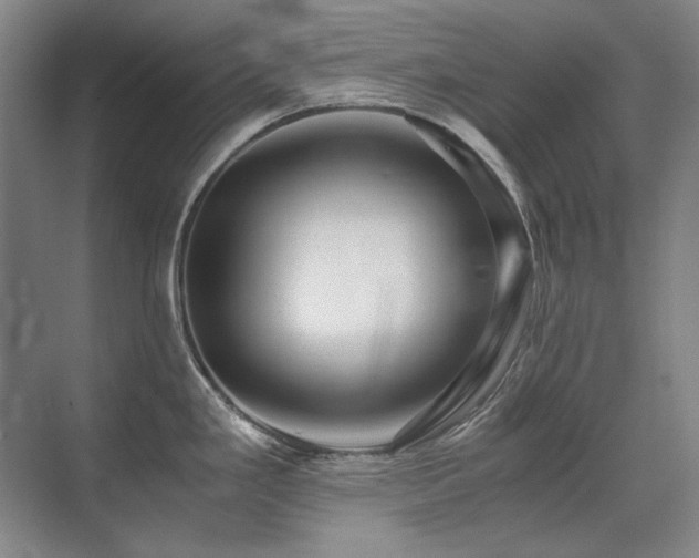 X0000071951293200607071200