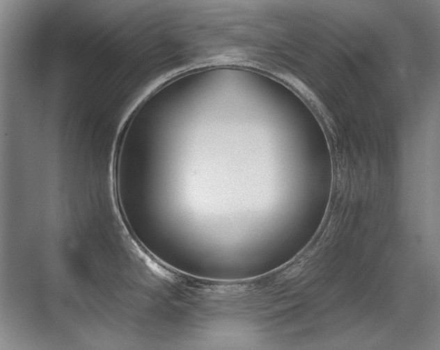 X0000071951294200607071200