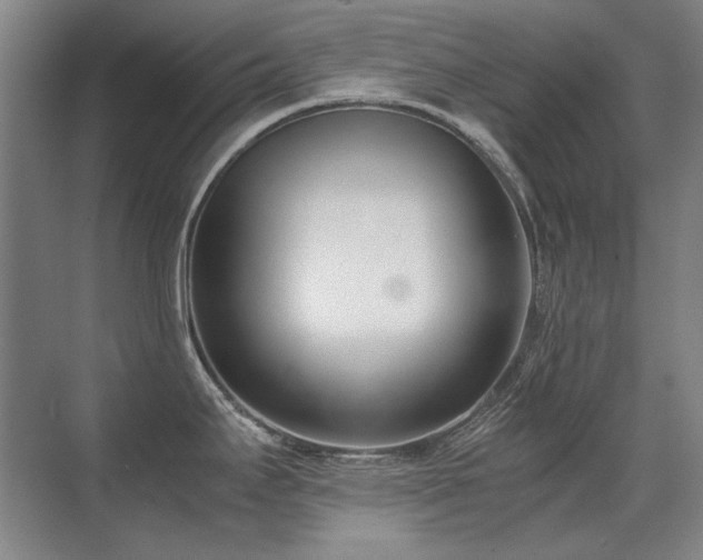 X0000071951295200607071200