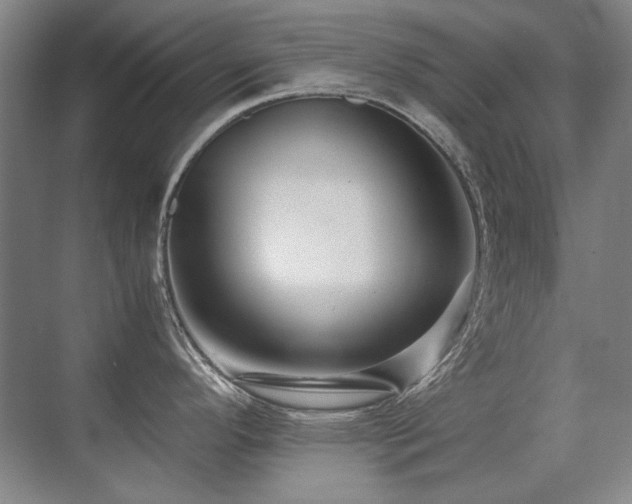 X0000071951296200607071200