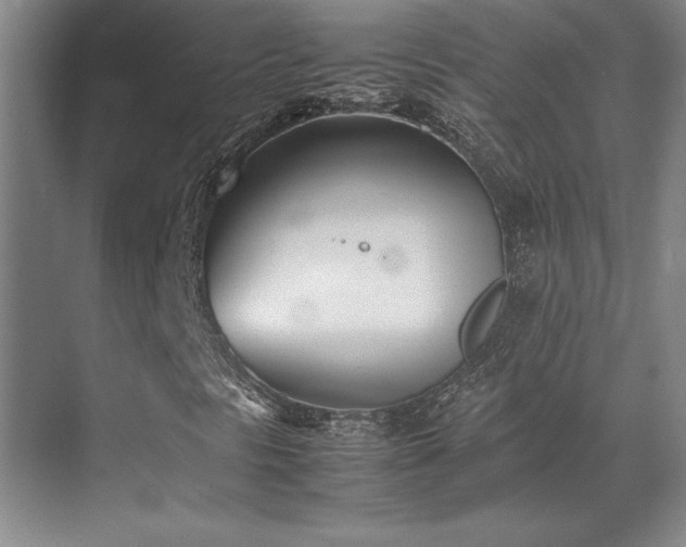 X0000071951297200607071159