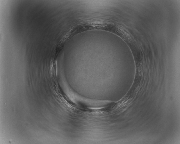 X0000071951298200607071159