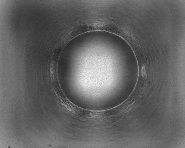 X0000071951299200607071159