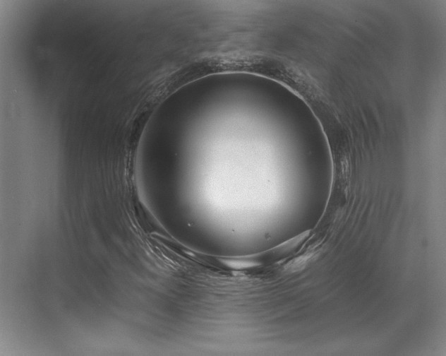 X0000071951300200607071159