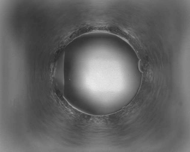 X0000071951301200607071159