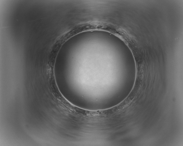 X0000071951302200607071159