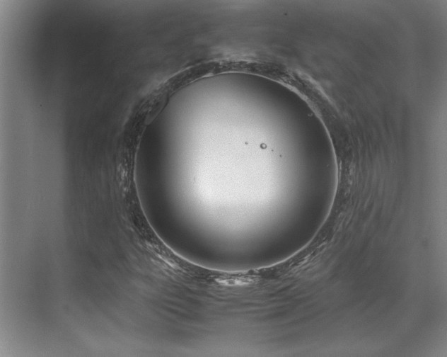 X0000071951303200607071159