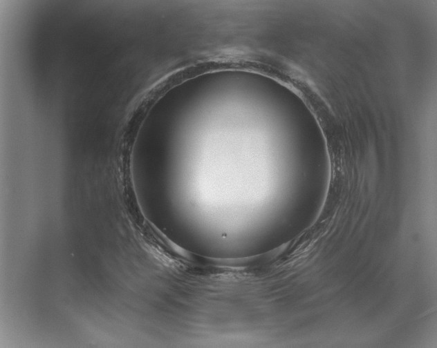 X0000071951304200607071159