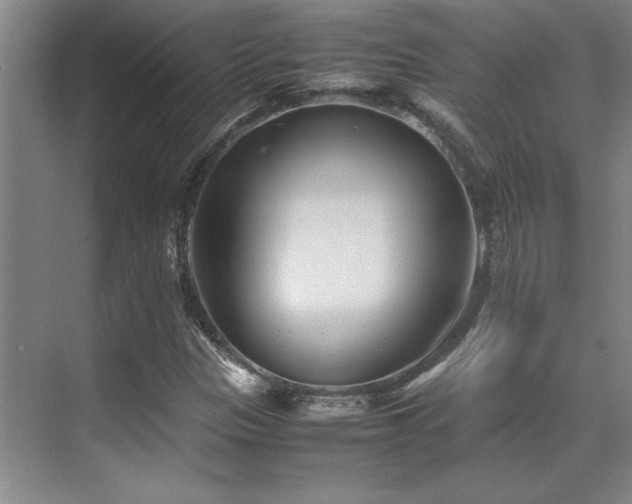 X0000071951305200607071159