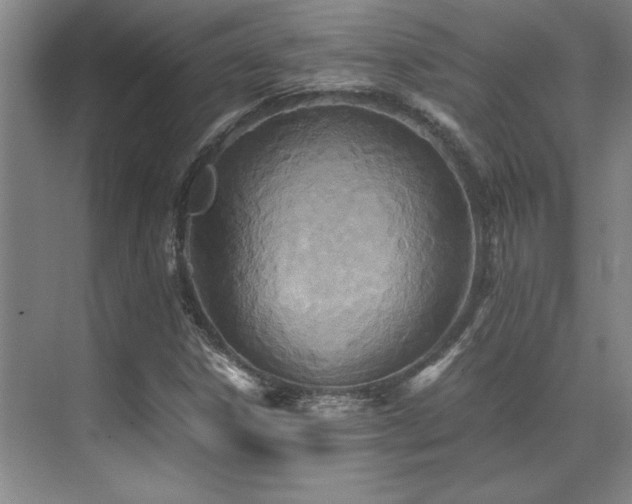 X0000071951306200607071159