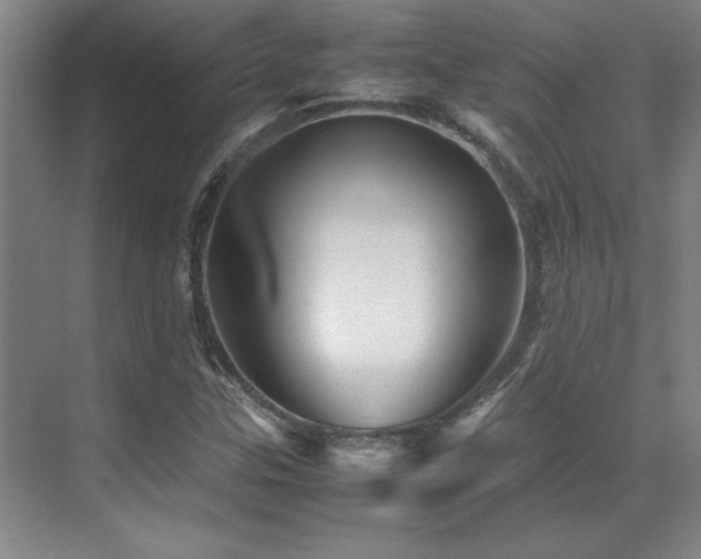 X0000071951307200607071159